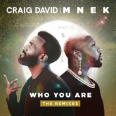 Who You Are (M-22 Remix) artwork