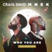 Who You Are (Preditah Remix) artwork