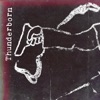 Thunderborn - Single