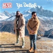 Ya Dellali (Afro Arab #1) [feat. Bryan Mg] artwork