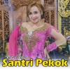 Santri Pekok - Single