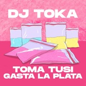 Toma Tusi Gasta la Plata (Remix) artwork