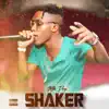 Stream & download Shaker - Single