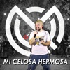 Mi Celosa Hermosa - Single