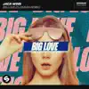 Stream & download Big Love (DJ Susan Remix) - Single