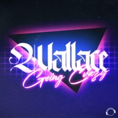 Wallace - Going Crazy - Extended Mix