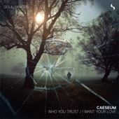 Who You Trust / I Want Your Love - Single