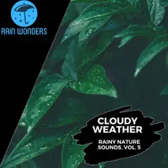 Cloudy Weather - Rainy Nature Sounds, Vol. 5 by Rain Sounds album reviews, ratings, credits