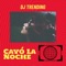Cayó La Noche - DJ Trending lyrics