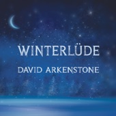 David Arkenstone - Warm Lights Flicker Across The Lake