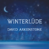 David Arkenstone - Darkening Skies