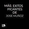 Más Éxitos Picantes De José Muñoz