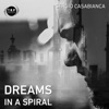 Dreams in a Spiral - Single