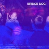 Working At It by Bridge Dog