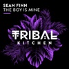 The Boy Is Mine (Extended Mix) - Single