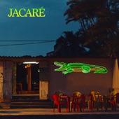 Jacaré artwork