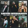 Stream & download Gestão Inteligente