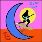 Surfer Boy - Surfing the Net