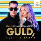 Guld, svett & tårar (Sveriges Officiella OS-låt Peking 2022) artwork