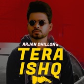 Tera Ishq artwork