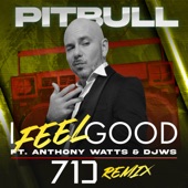 I Feel Good (71 Digits Remix) [feat. Anthony Watts & DJWS] artwork