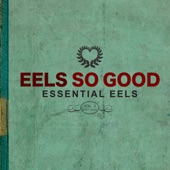 Eels - Spectacular Girl