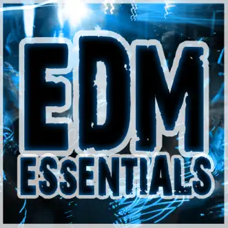 EDM Essentials by Various Artists album reviews, ratings, credits