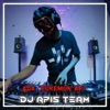 DJ Apis Team - Ada Pokemon Api (Remix)