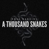 A Thousand Snakes - Single