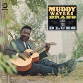 Muddy, Brass & The Blues artwork