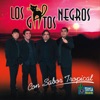 Los Gatos Negros (Con Sabor Tropical - 2008)