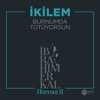 Burnumda Tütüyorsun (İbrahim Erkal Hürmet 2) - Single