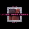 unter ihrem dress by Dilla, emi x iTunes Track 1