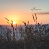 Afternoon - Single