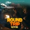 Round Trip artwork