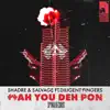 Wah You Deh Pon - Single album lyrics, reviews, download