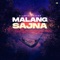 Malang Sajna (Slowed+Reverb) artwork