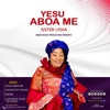 Yesu Aboa Me