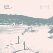 Shelter - EP