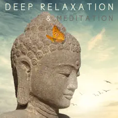 Deep Relaxation & Meditation: The Best Music for Yoga & Meditation, Nature Sound for Total Relax, Spa Day at Home by Relaxed Mind Music Universe album reviews, ratings, credits