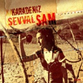 Ander Sevdaluk (feat. S.Akalın) artwork