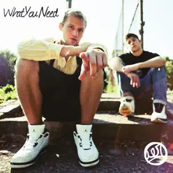 What You Need EP - Aer