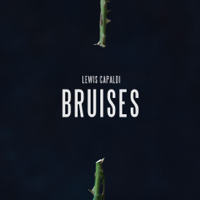 Lewis Capaldi - Bruises artwork