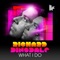 What I Do - Richard Dinsdale & Viveen Wray lyrics