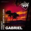 Gabriel (feat. Martin Carr)
