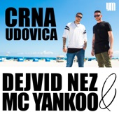 Crna Udovica (Radio) artwork