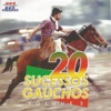 20 Sucessos Gaúchos, Vol. 5