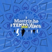 Mestrinho - É Tempo pra Viver