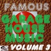 Famous Garage House Music, Vol. 3 (DJ Megamix)