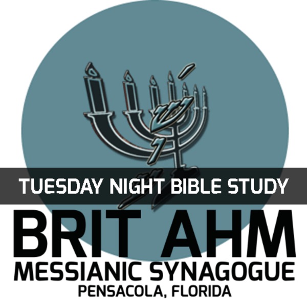 Brit Ahm Messianic Syngague cover